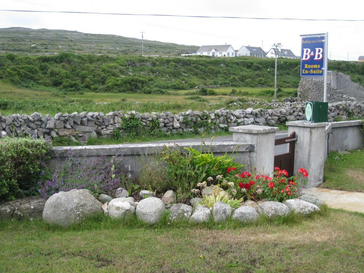 Radharc Na Ceibhe B&B H91 V0Y3 Kilronan  Exterior photo
